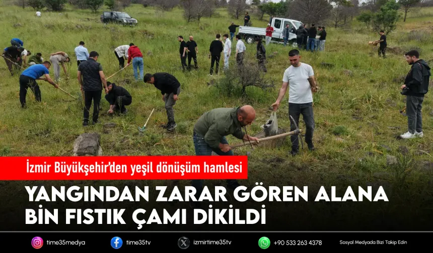 İzmir’de yangın alanı yeniden yeşeriyor