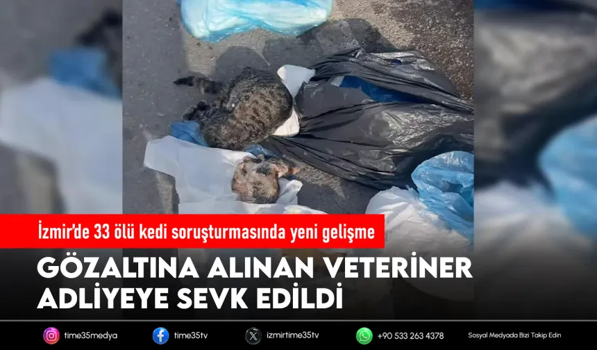 İzmir’de 33 ölü kedi soruşturmasında yeni gelişme