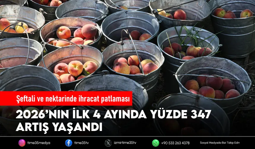 Şeftali ve nektarinde hasat coşkusu