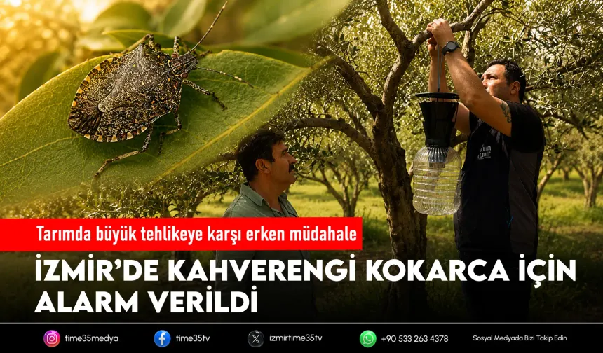 İzmir’de istilacı böceğe karşı seferberlik