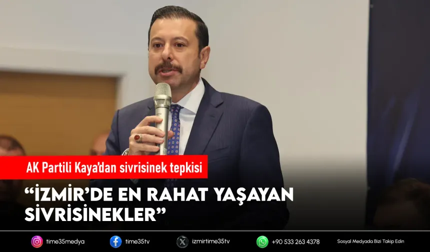 AK Partili Kaya’dan Büyükşehir’e sivrisinek tepkisi