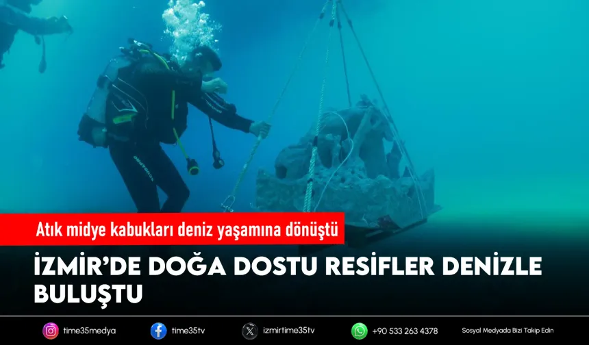 Atık midye kabukları deniz yaşamına dönüşüyor