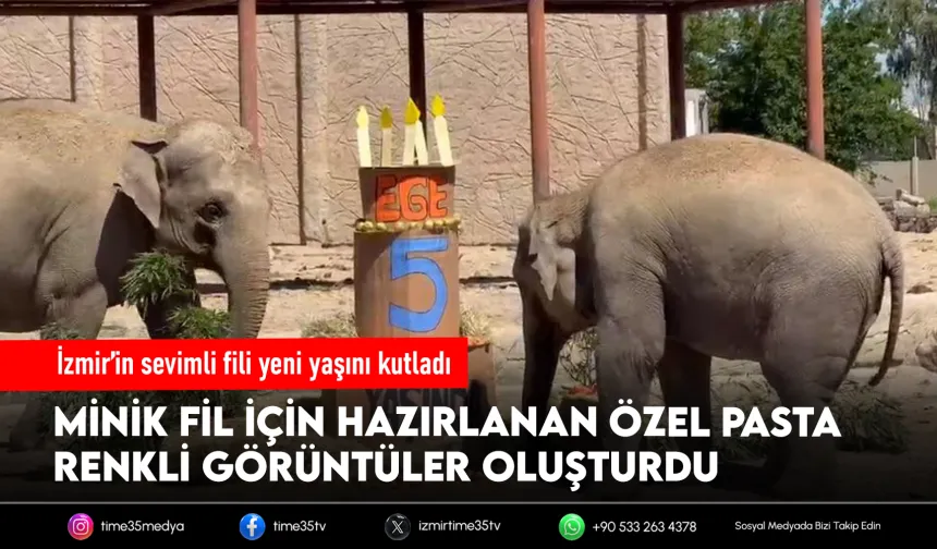 Fil ailesinin neşesi Ege 5 yaşına girdi