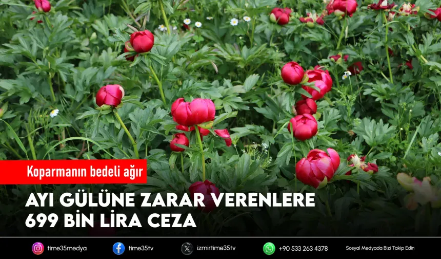 Bu çiçeği koparmanın bedeli 699 bin lira!