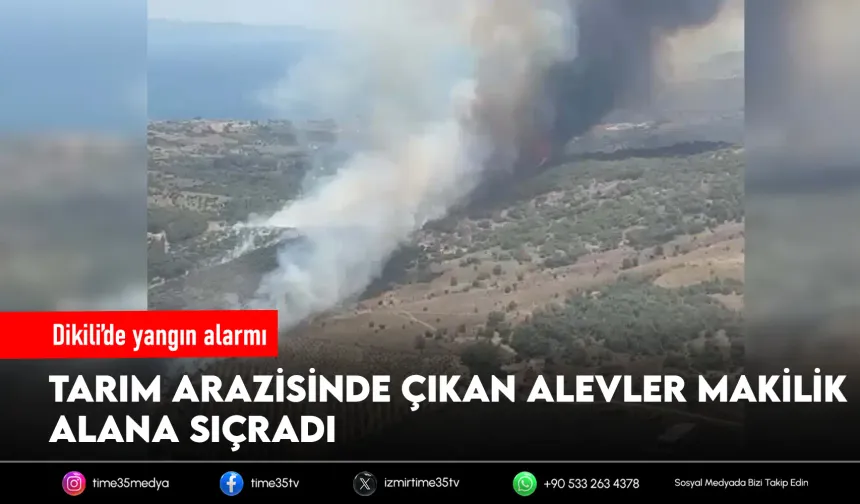 Dikili’de tarım arazisinde yangın paniği