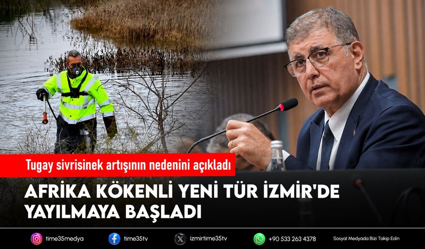 Tugay sivrisinek artışının nedenini açıkladı