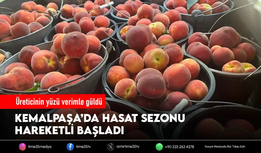 Dalında bereket: Şeftali üretiminde yüzde 90 artış