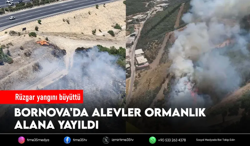 Bornova'da korkutan yangın! Alevler ormana sıçradı