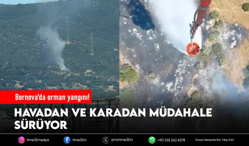 Bornova'da orman yangını! Havadan müdahale başladı