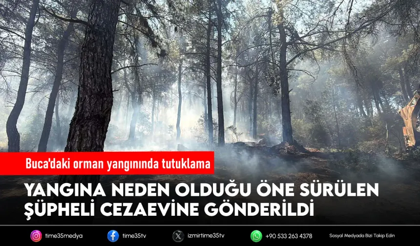 İzmir'deki orman yangınına tutuklama