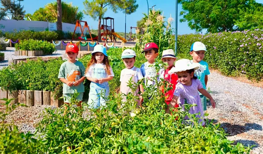 Didim'de çocuklar hasat deneyimi yaşadı