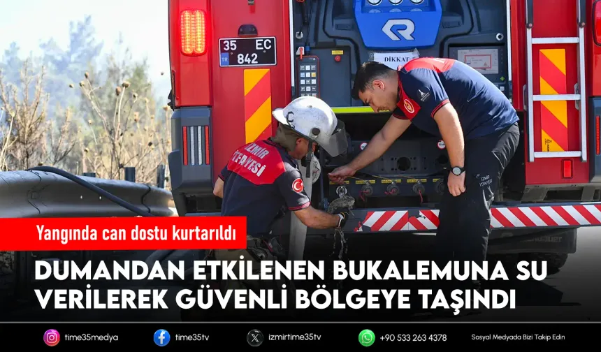 İzmir İtfaiyesi bukalemunu hayata döndürdü