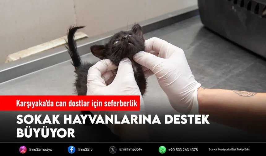 Karşıyaka Belediyesi ekipleri can dostlar için sahada