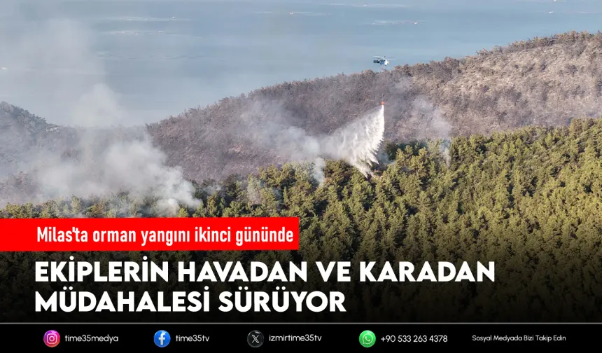 Milas'taki orman yangınında ikinci gün: Müdahale sürüyor