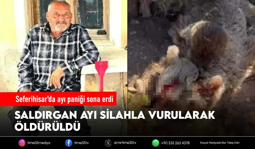Ölümcül saldırının ardından ayı vurularak öldürüldü