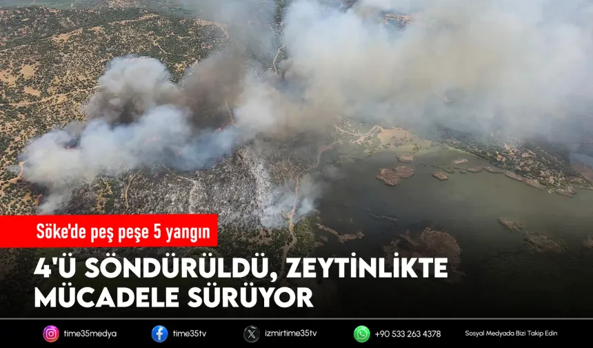 Aydın'da 5 ayrı noktada tarım arazisi yangını