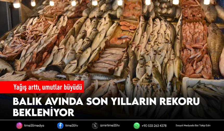 İzmir Körfezi'nde balık bolluğu bekleniyor