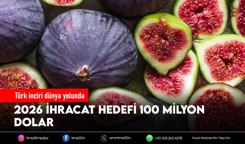 Taze incirde 100 milyon dolarlık hedef