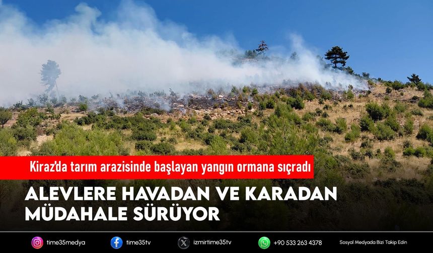 Kiraz’da tarım arazisinde başlayan yangın ormana sıçradı