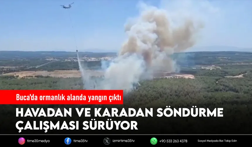 İzmir'de bir orman yangını daha! Ekipler seferber oldu