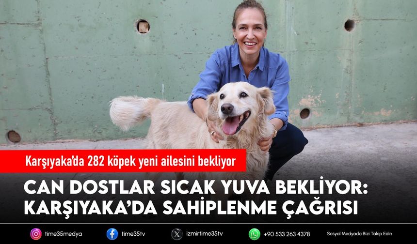 Karşıyaka’da 282 köpek yeni ailesini bekliyor