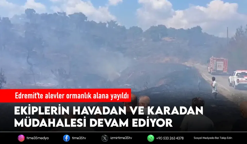 Edremit’te başlayan yangın ormana sıçradı