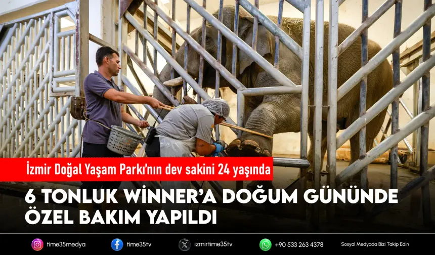 İzmir’de fil ailesine doğum günü hediyesi