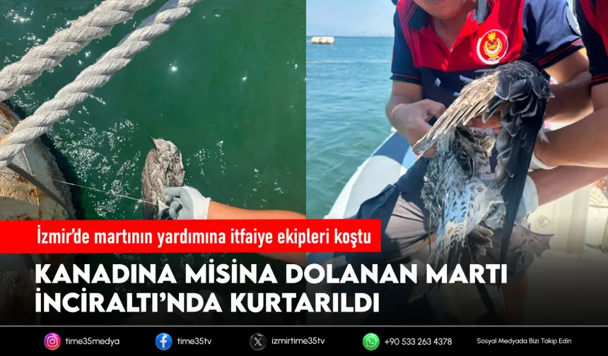 İnciraltı’nda misinaya takılan martı kurtarıldı