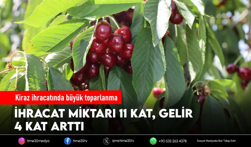 Kiraz ihracatında 2025 yılının yaraları sarıldı