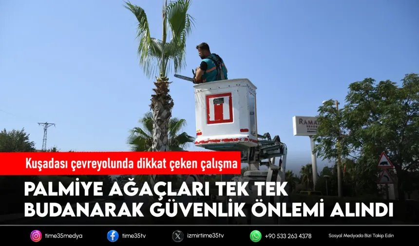 Kuşadası çevreyolunda palmiye ağaçlarına kapsamlı bakım