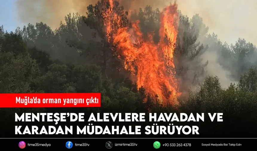 Muğla’da orman yangını! Ekipler seferber oldu