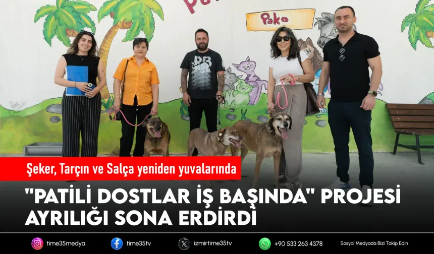 İzmir'de patili dostlar alıştıkları yuvalarından ayrılmadı