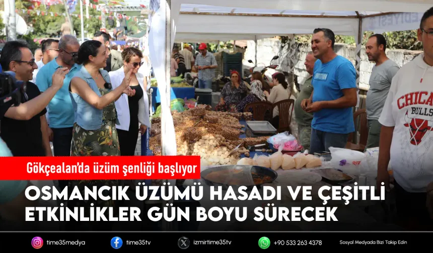 Gökçealan’da Osmancık Üzümü şenliği başlıyor