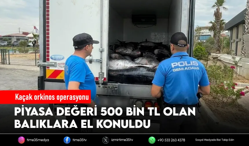 Güzelbahçe'de 3 ton mavi yüzgeçli orkinos ele geçirildi