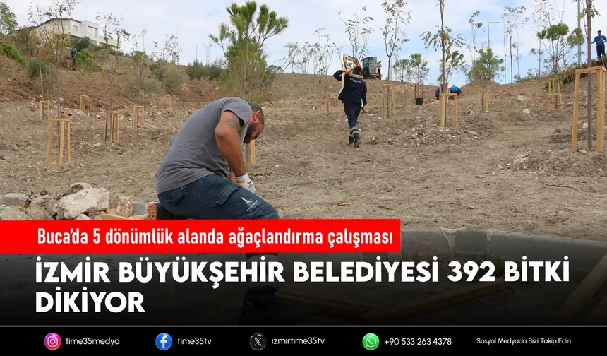 Buca’da 5 dönümlük alanda yeşil dönüşüm