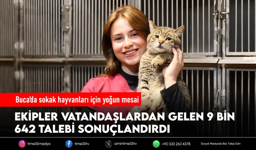 Buca Belediyesi’nden sokak hayvanlarına kapsamlı destek