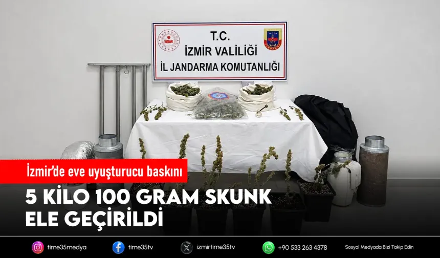 İzmir'de 5 kilo skunk ele geçirildi