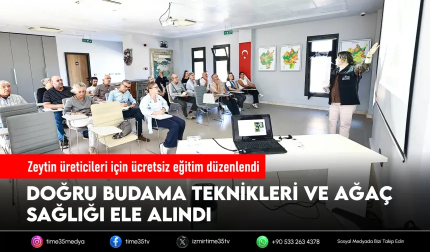 Efes Selçuk’ta zeytin üreticilerine budama eğitimi