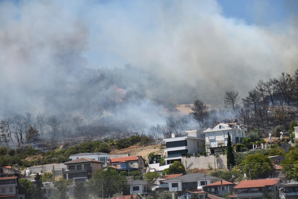 Urla Ve Çeşme'de Orman Yangını 1