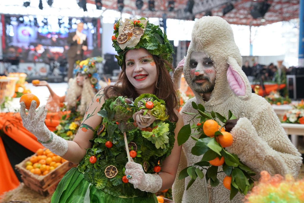 Seferihisar Mandalina Festivali 1