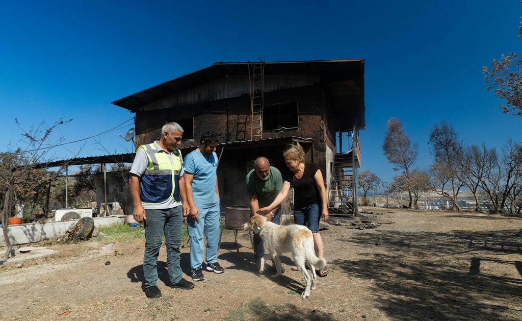 16.07.2025 29C268D3 9D37 4688 8120 92C8D54Ef052