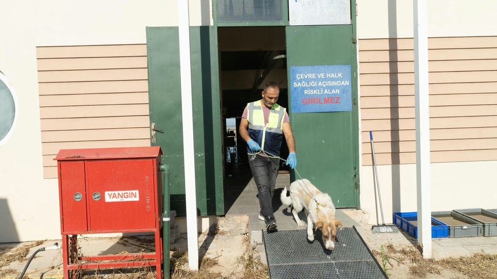 16.07.2025 36100C93 68A6 40C1 B7D7 994Ae12Fa146