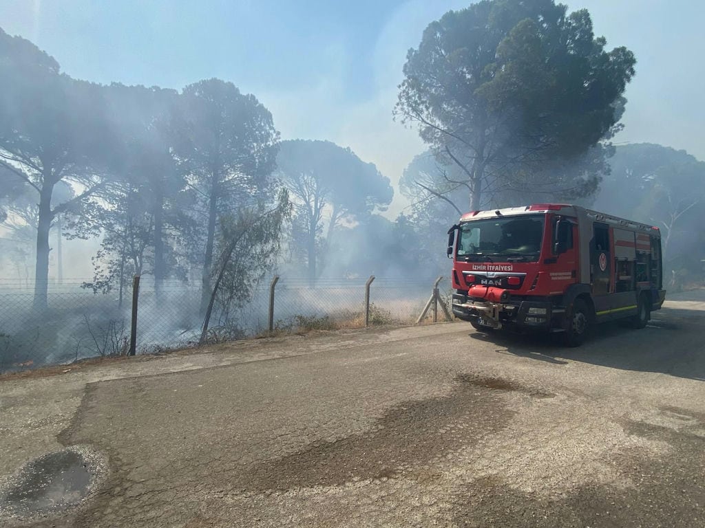 16.07.2025 A1Ebed3C 9Ae9 4931 B404 6Cf3C4910A60