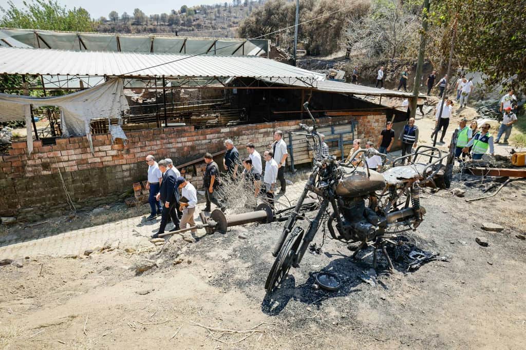 16.07.2025 A548Cb9A 73Df 4Ad6 85D8 731D23970Fc6