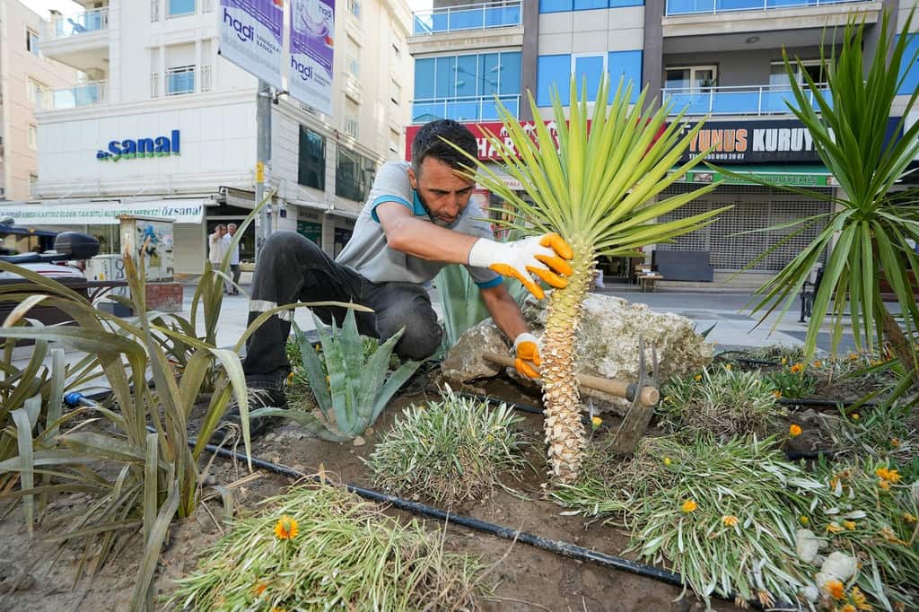 Gaziemir Belediyesi’nden Kurakçıl Peyzaj Hamlesi (2)