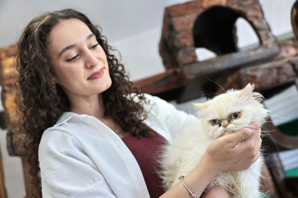Konak’ın Patili Dostları Ömürlük Yuvalarını Bekliyor (7)