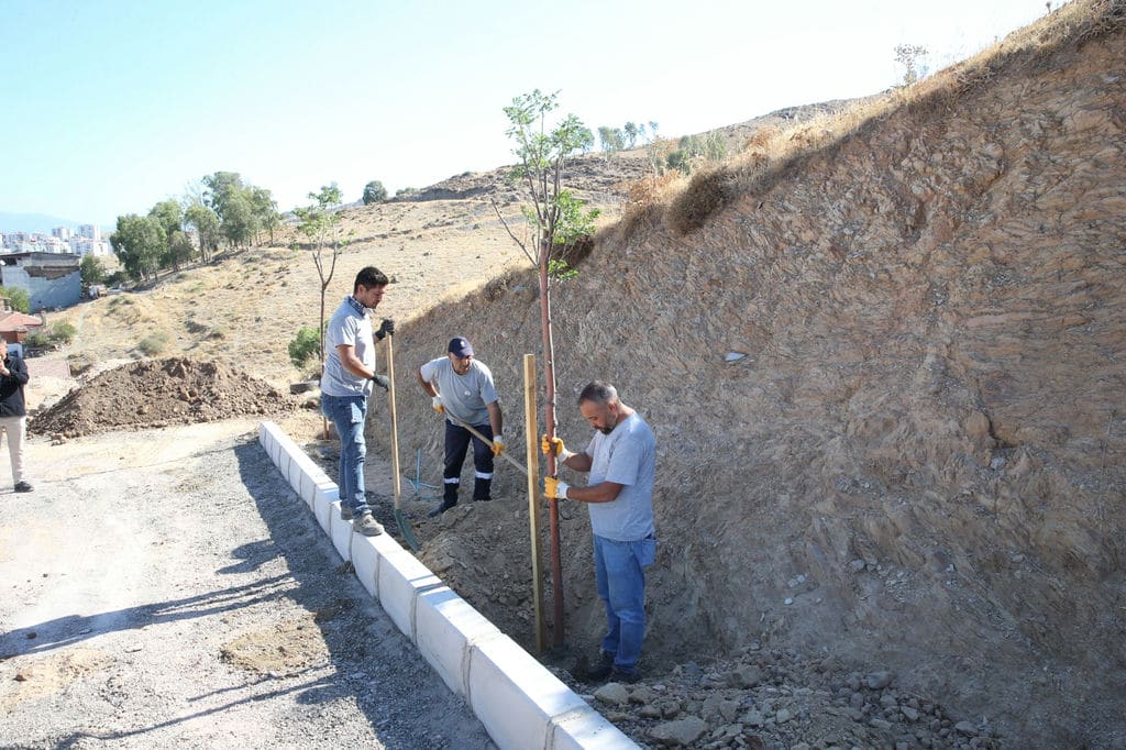 Peyzaj (2)