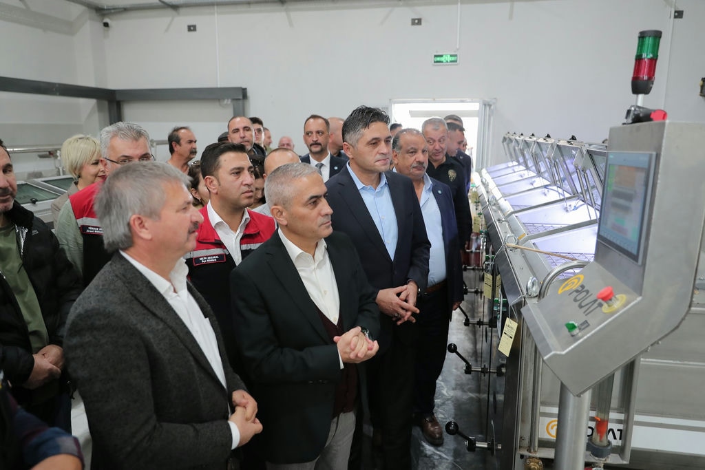 5 Aliağa’da Zeytinin Bereketi 4.Zeytin Hasat Şenliği’nde Kutlandı