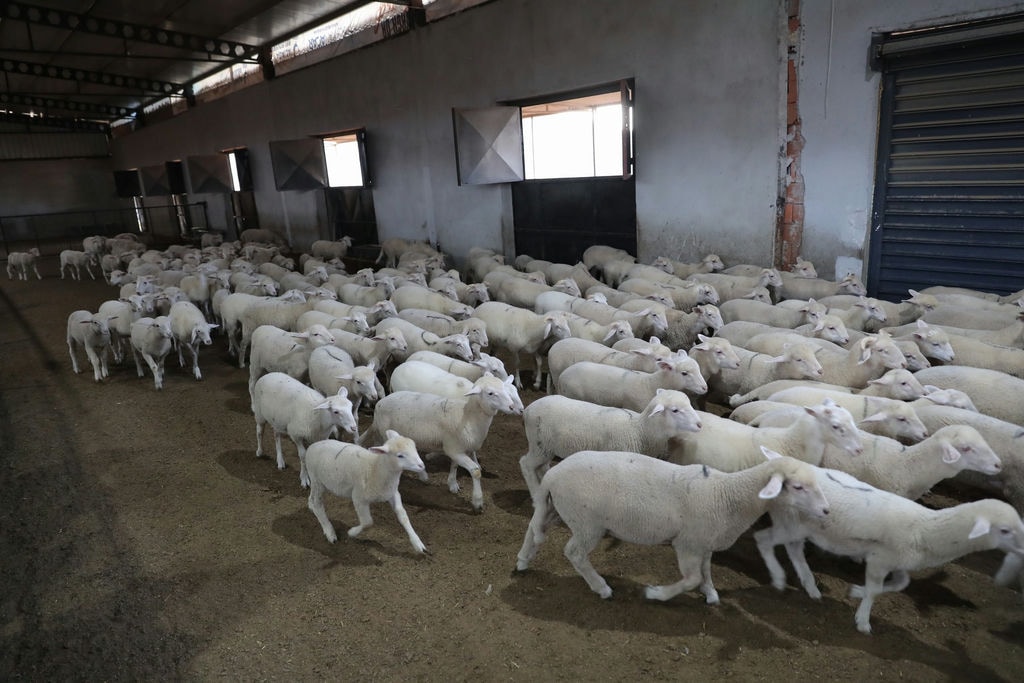 Aliağa Kırsal Kalkınmada Örnek Olmaya Devam Ediyor (13)