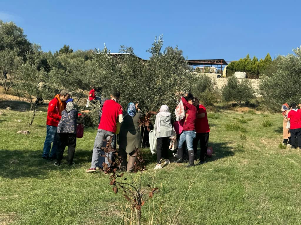 13.11.2025 74E1432F 6A41 4670 9E7C 27Dd3Db8D0B8